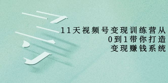 11天视频号变现训练营，从0到1打造变现赚钱系统（价值398元）插图