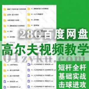 28G高尔夫新手训练教学视频课程百度网盘资源合集，包含短杆全杆/基础实战/击球进攻……等内容_赚钱插图