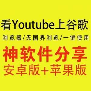 【IOS+安卓】可上~谷歌、看~YouTube的浏览器_赚钱插图