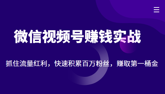 微信视频号赚钱实战：抓住流量红利，快速积累百万粉丝，赚取你的NO.1桶金插图