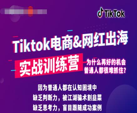 零基础学习抖音国际版TikTok海外短视频新手实战训练营【视频课】插图