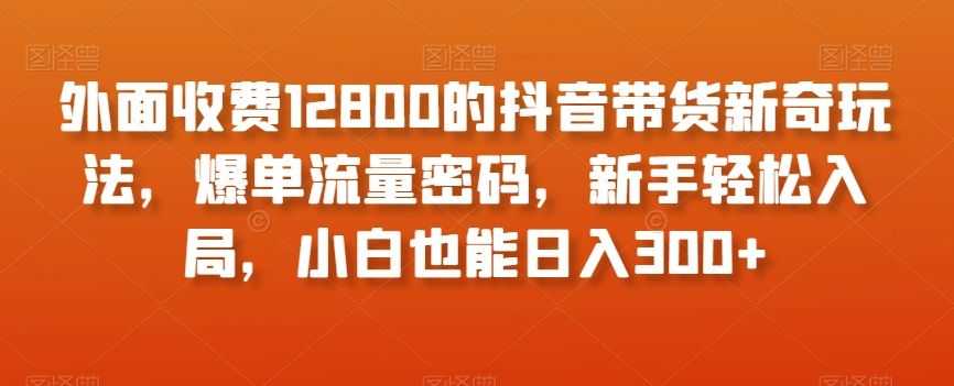 外面收费12800的抖音带货新奇玩法，爆单流量密码，新手轻松入局，小白也能日入300+【揭秘】