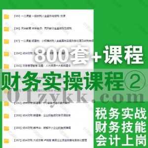 2023年/22年更新的800套+财会实操财务技能会计上岗提升课程网盘资源合集，包含财务经理实战孵化/经营分析实战/真账实操/企业纳税筹划…等_赚钱插图