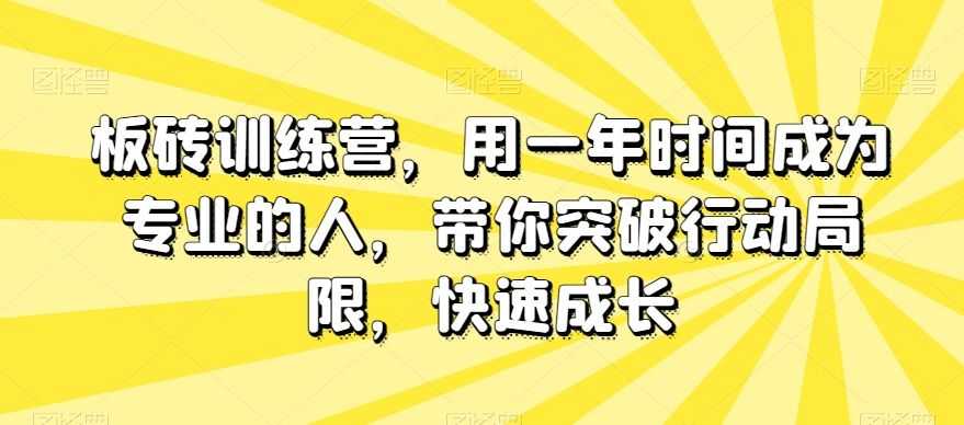 板砖训练营，用一年时间成为专业的人，带你突破行动局限，快速成长