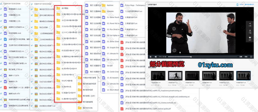 89G武术学习培训视频电子书教程百度网盘资源合集，包含格斗/UFC/泰拳/柔术/散打/擒拿/太极/咏春拳/自由搏击/马伽术……等教程_赚钱插图1
