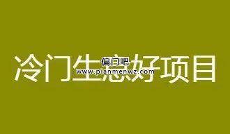 2023年分享三个冷门赚钱生意插图