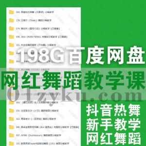 198G抖音网红热门流行舞蹈教学视频课程百度网盘资源合集，包含热身拉伸示范/分解教学/新手基础/手势舞/韩舞/网红舞蹈……等内容_赚钱插图