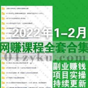 2022年1月-2月更新的300套+各类互联网赚钱实操视频课程百度网盘资源合集，包含抖音短视频带货/电商直播/品牌IP打造/变现实操……等内容_赚钱插图