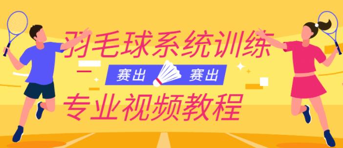 羽毛球教学视频《羽毛球系统训练专业视频教程》插图