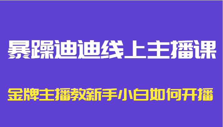 暴躁迪迪线上主播课，金牌主播教新手小白如何开播插图