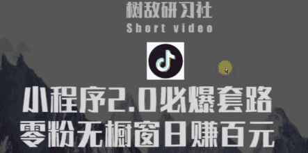 树敌研习社6月抖音赚钱课程：抖音小程序2.0必爆套路零粉无橱窗日赚百元玩法插图