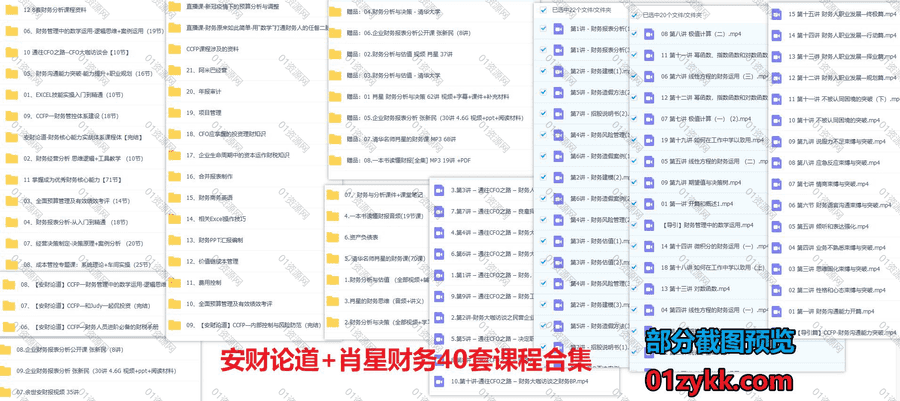 40套肖星财务/安财论道小安老师财务思维CCFP系列课程网盘资源合集，包含企业财务报表分析/财务管控体系建设/财务经营分析/技能实操…等_赚钱插图1