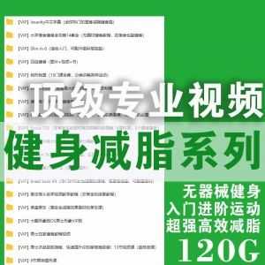 【健身减脂全系列】涵盖全球各顶级专业视频/无器械/入门进阶/高效减脂（120G网盘）_赚钱插图