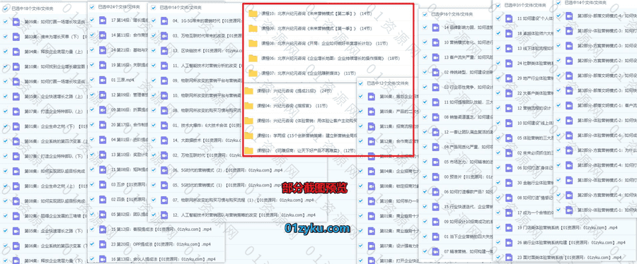 长松集团高级咨询师刘一苇10套学习视频课程百度网盘资源合集，包含基础进阶/企业增长/营销模式/玩赚招商……等内容_赚钱插图1