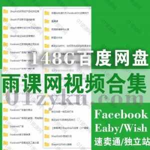 雨课网Facebook+独立站+速卖通+Eaby+Wish+Shopee+Lazada学习课程视频资源148G百度网盘合集_赚钱插图