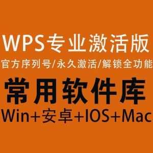 【WPS官方序列号激活】解锁专业版全功能/永久免费使用_赚钱插图