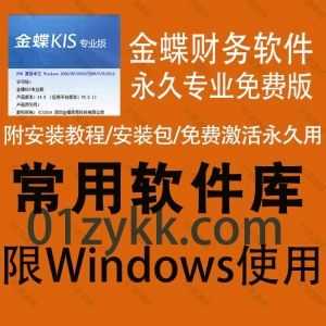 金蝶KIS财务软件14.0永久专业免费激活版（适用Window系统），包含金蝶软件安装包+安装教程+激活包_赚钱插图