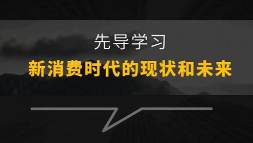 王岑讲新消费品牌增长方法与案例