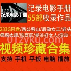 林旭东《记录电影手册》收录的55部纪录片研究电影233G网盘资源合集，包含机械芭蕾/后勤女工/疯癫大师/火车进站/工厂大门/土西铁路…等影片_赚钱插图