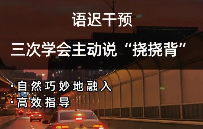 【第7035期】从开口起步到主动表达—语迟的家庭训练插图