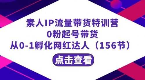 【第8847期】繁星·计划素人IP流量带货特训营：0粉起号带货 从0-1孵化网红达人（156节）