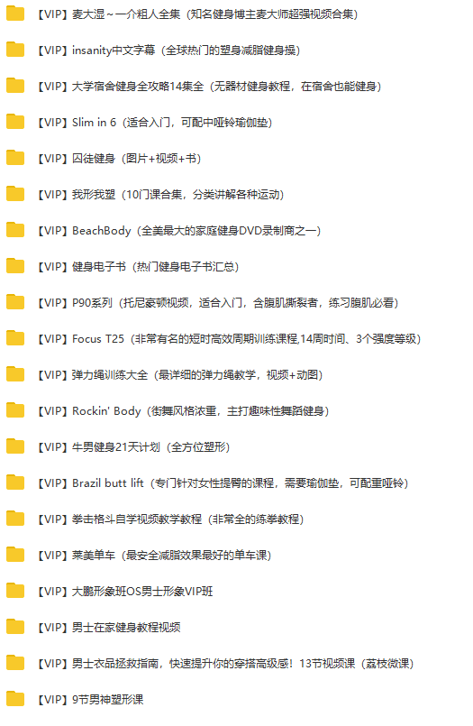 【健身减脂全系列】涵盖全球各顶级专业视频/无器械/入门进阶/高效减脂（120G网盘）_赚钱插图1