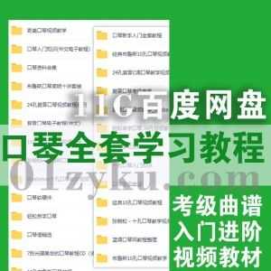 11G口琴全套培训学习视频+电子书教程百度网盘资源合集，考级曲谱/新手入门进阶/口琴自学知识/10孔布鲁斯24孔复音口琴……_赚钱插图