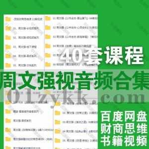 40套周文强视频音频学习课程+PDF电子版书籍百度网盘资源合集，包含顶级财商思维/新版财商之道/以书会友/经营之道/演说之道/汇播直播…等_赚钱插图