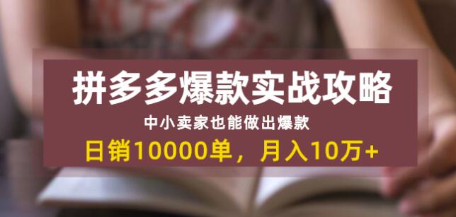 拼多多爆款实战攻略：中小卖家也能做出爆款，日销10000单月入10w+插图