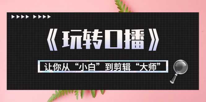 月营业额700万+大佬教您《玩转口播》让你从“小白”到剪辑“大师”插图