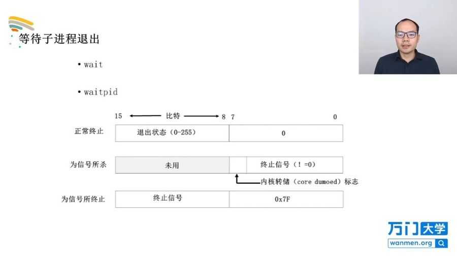 Linux服务器开发 视频截图