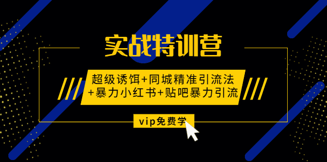 实战特训营:超级诱饵+同城精准引流法+暴力小红书+贴吧暴力引流（视频课程）插图