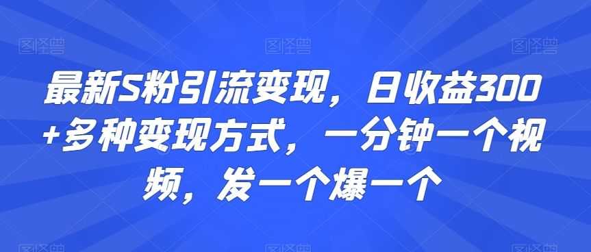 zui新S粉引流变现，日收益300+多种变现方式，一分钟一个视频，发一个爆一个【揭秘】