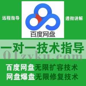 【付费远程一对一指导系列】百度网盘突破保存上限每天无限扩容技术教程+爆盘无损占位无限修复技术教程详解_赚钱插图