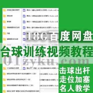 18G台球桌球技巧训练视频教程百度网盘资源，包含基础进阶/走位加塞/击球出杆/名人实战教学……等内容_赚钱插图