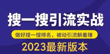 《公众号搜一搜引流实训课》日引200+ 