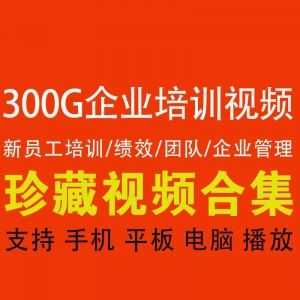 300G企业培训视频合集，新员工培训/绩效/团队/企业管理│百度网盘_赚钱插图