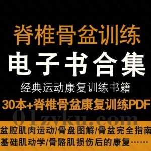 30本经典脊椎骨盆康复运动训练电子书PDF百度网盘资源合集，包含骨盘图解/基础肌动学/盆腔肌肉运动……等书籍_赚钱插图