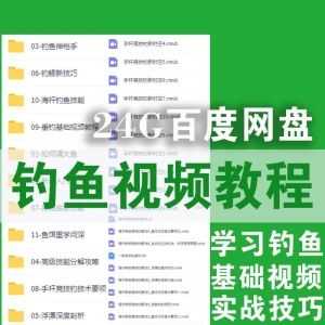 24G钓鱼学习视频教程基础+实战技巧│百度网盘合集_赚钱插图