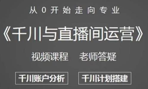 阳光哥《千川与直播间运营》从0开始走向专业，包含千川短视频图文、千川直播间、小店随心推