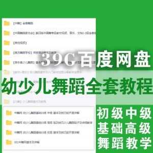 39G幼少儿舞蹈基础初级中级高级全套视频+音乐教程百度网盘合集，包含中舞网/南方舞蹈学校/北舞/凤舞课堂……等_赚钱插图