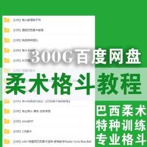 300G柔术格斗防身学习视频教程│百度网盘合集_赚钱插图