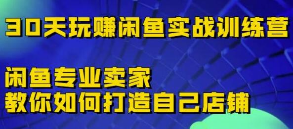 30天玩赚闲鱼实战训练营