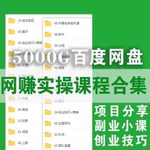 5000G百度网盘互联网赚钱实操课程合集，项目分享/副业小课/创业技巧/文案写作/大咖引流实战教学……_赚钱插图