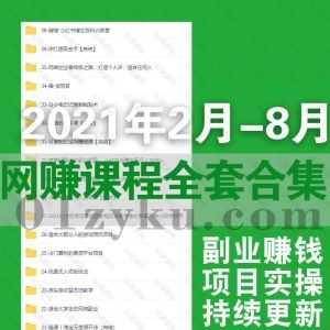 2021年2月-8月更新的近200套各类互联网赚钱实操视频课程百度网盘资源合集，包含副业赚钱/海量项目/电商短视频自媒体……等_赚钱插图