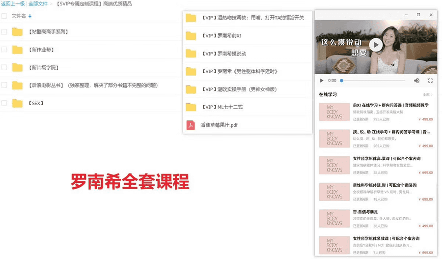 Nancy罗南希全套SEX课程（72式+摸说动+科学躯体……）_赚钱插图2