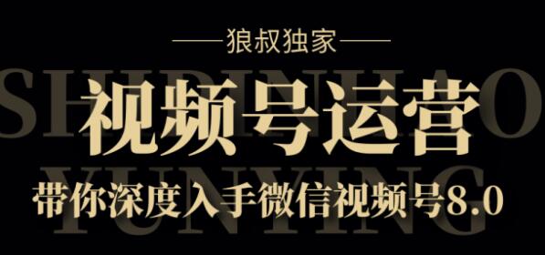 狼叔独家：视频号8.0运营实战课价值1280元插图