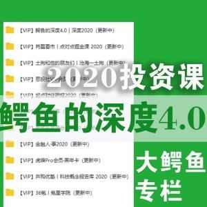 【鳄鱼的深度4.0】大鳄鱼2020投资专栏（网盘群组持续更新）_赚钱插图