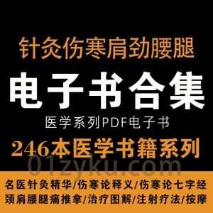 246本治疗伤寒针灸肩颈腰痛医学类PDF电子书百度网盘资源合集_赚钱插图