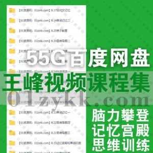 55Gzui强大脑王峰记忆力训练网课视频+PDF电子版讲义教材百度网盘资源合集，包含100天脑力攀登计划/王峰记忆网记忆宫殿记忆法课程……等_赚钱插图